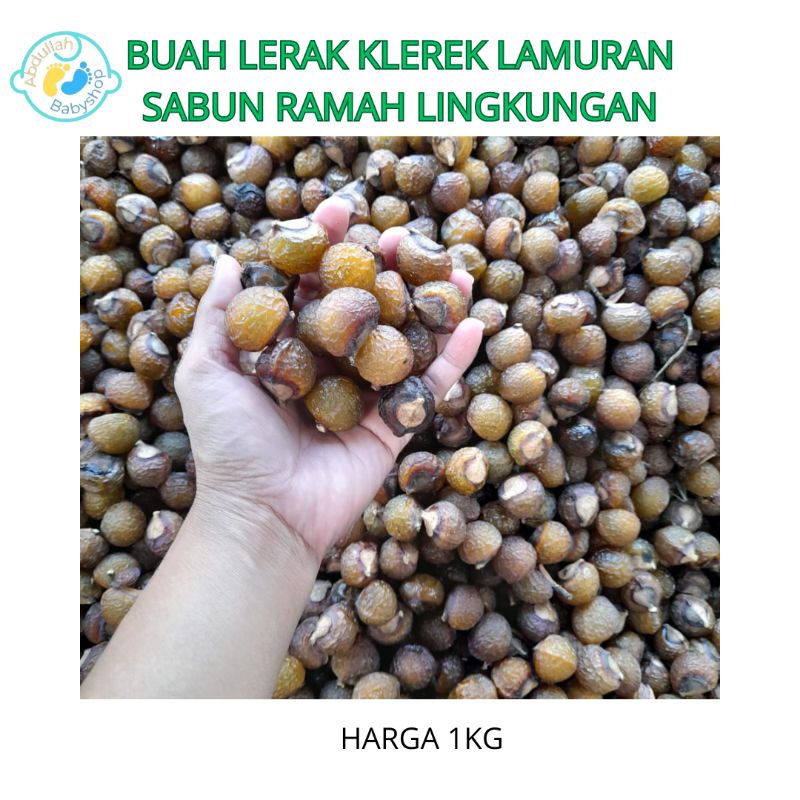 PROMO Buah Lerak Soapnuts Soapberries Klerek 1 KG Utuh Untuk Cuci clodi, Menspad, Batik, Perabotan D