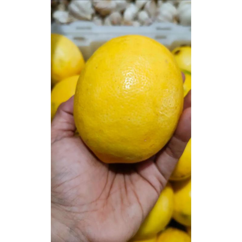 

Lemon California