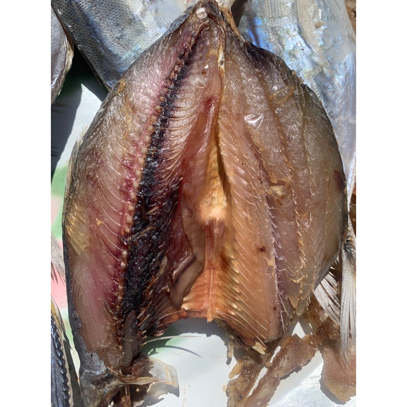 

ikan asin dencis bagus tanpa formalin tanpa pengawet 1kg