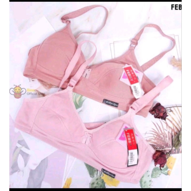 BH wanita dewasa tanpa busa grosir/lusinan 12 pcs. bh wanita dewasa polos