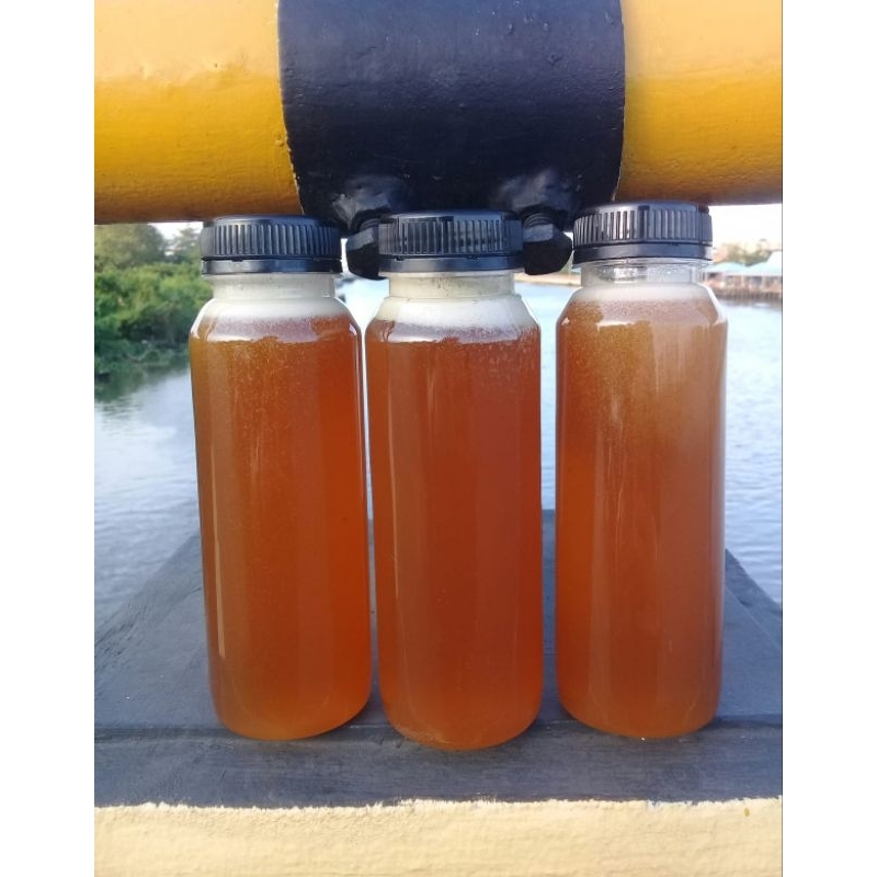 

Madu murni asli Kalimantan Tengah