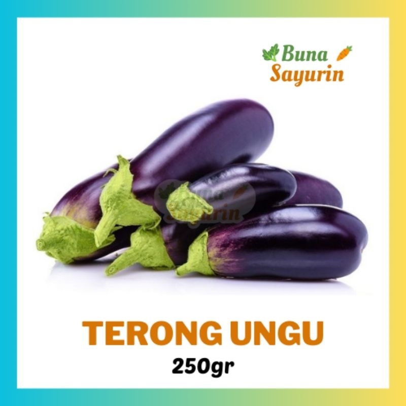 

Terong Ungu Panjang Segar 250gr/500gr [BunaSayurin]