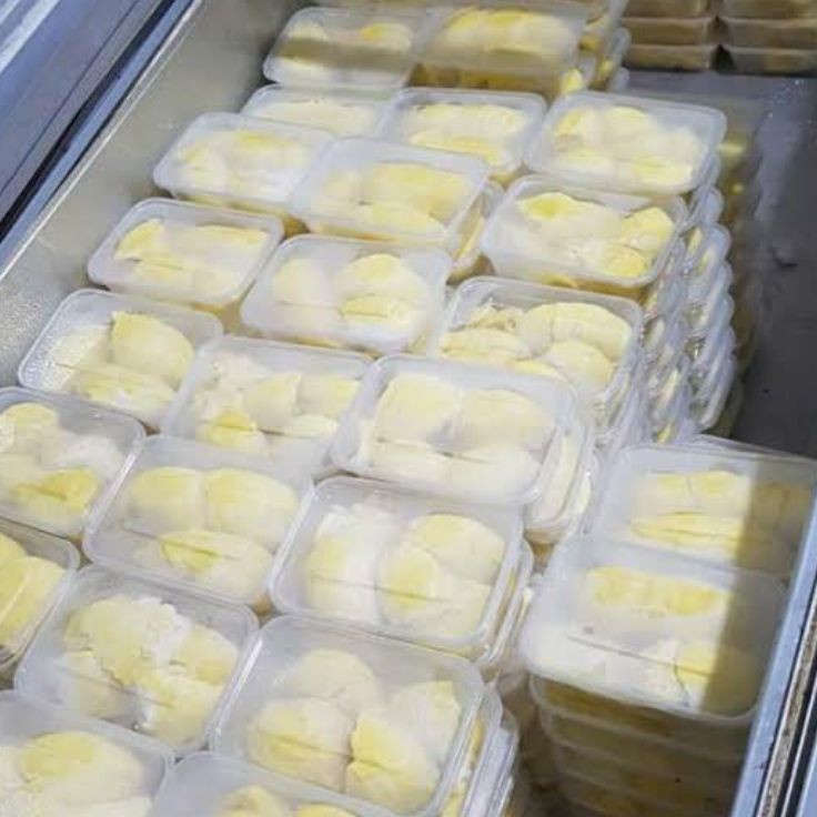

55 COD Durian montong Palu Sulawesi