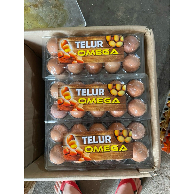 

TELUR OMEGA