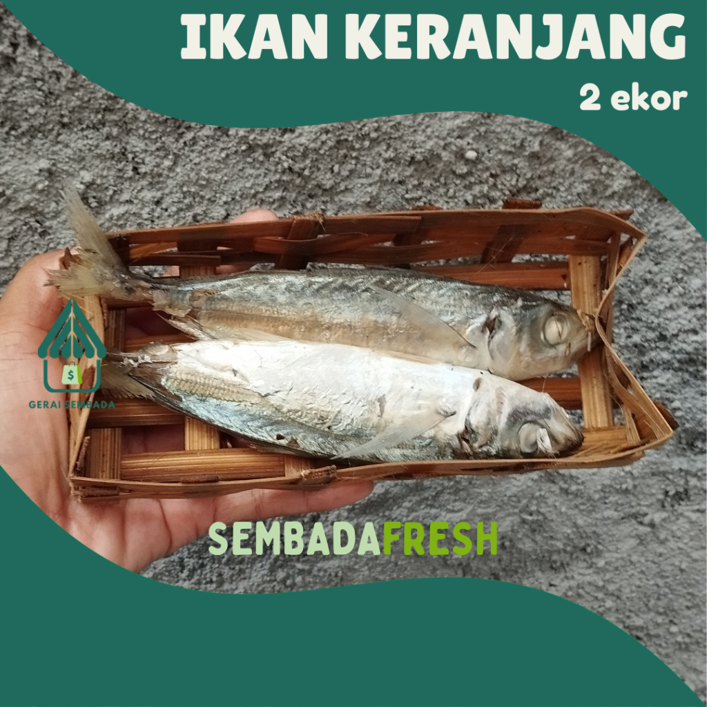 

Ikan Keranjang 2 ekor - SEMBADA FRESH [Pengiriman Instant]