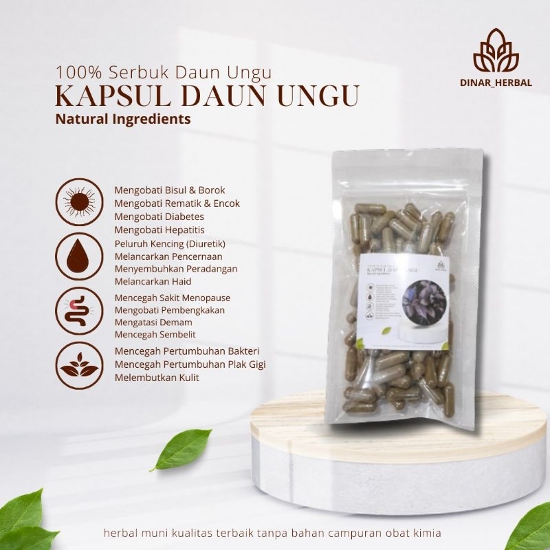 KAPSUL DAUN UNGU ISI 100 ASLI HERBAL ALAMI