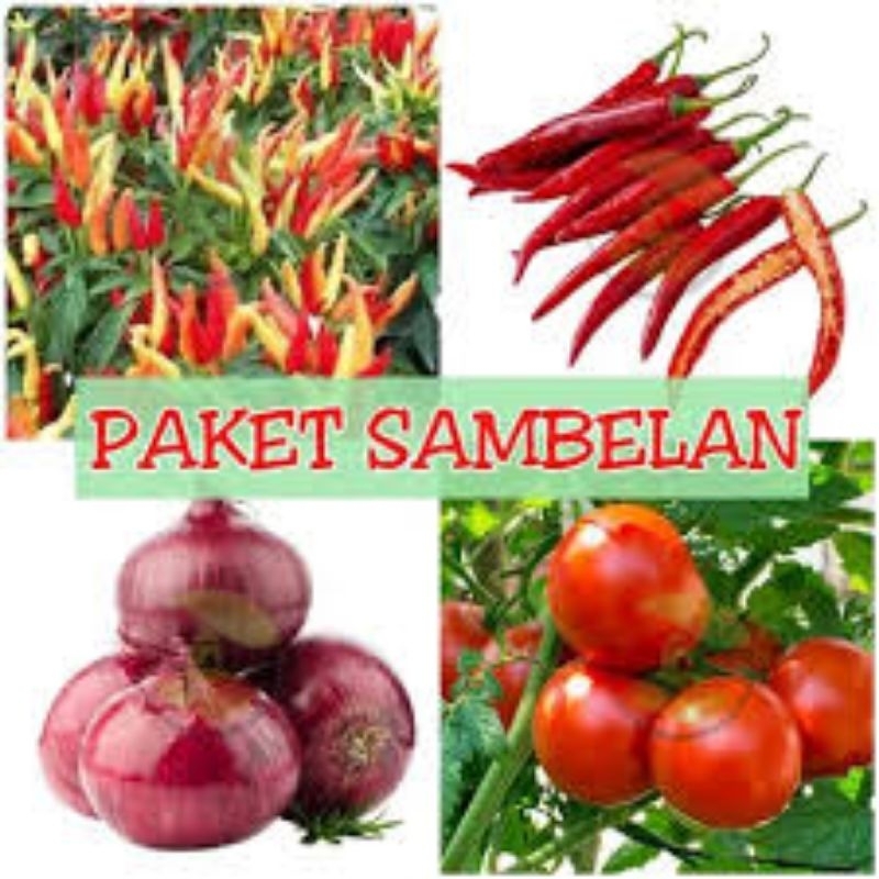 

paket sambelan