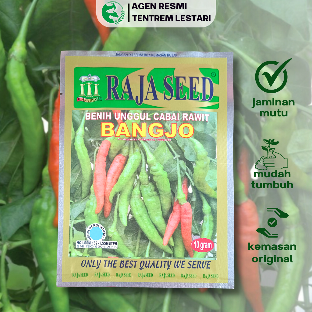 Benih Cabe Rawit BANGJO 10 gram Cap RAJA SEED Lebat & Bandel
