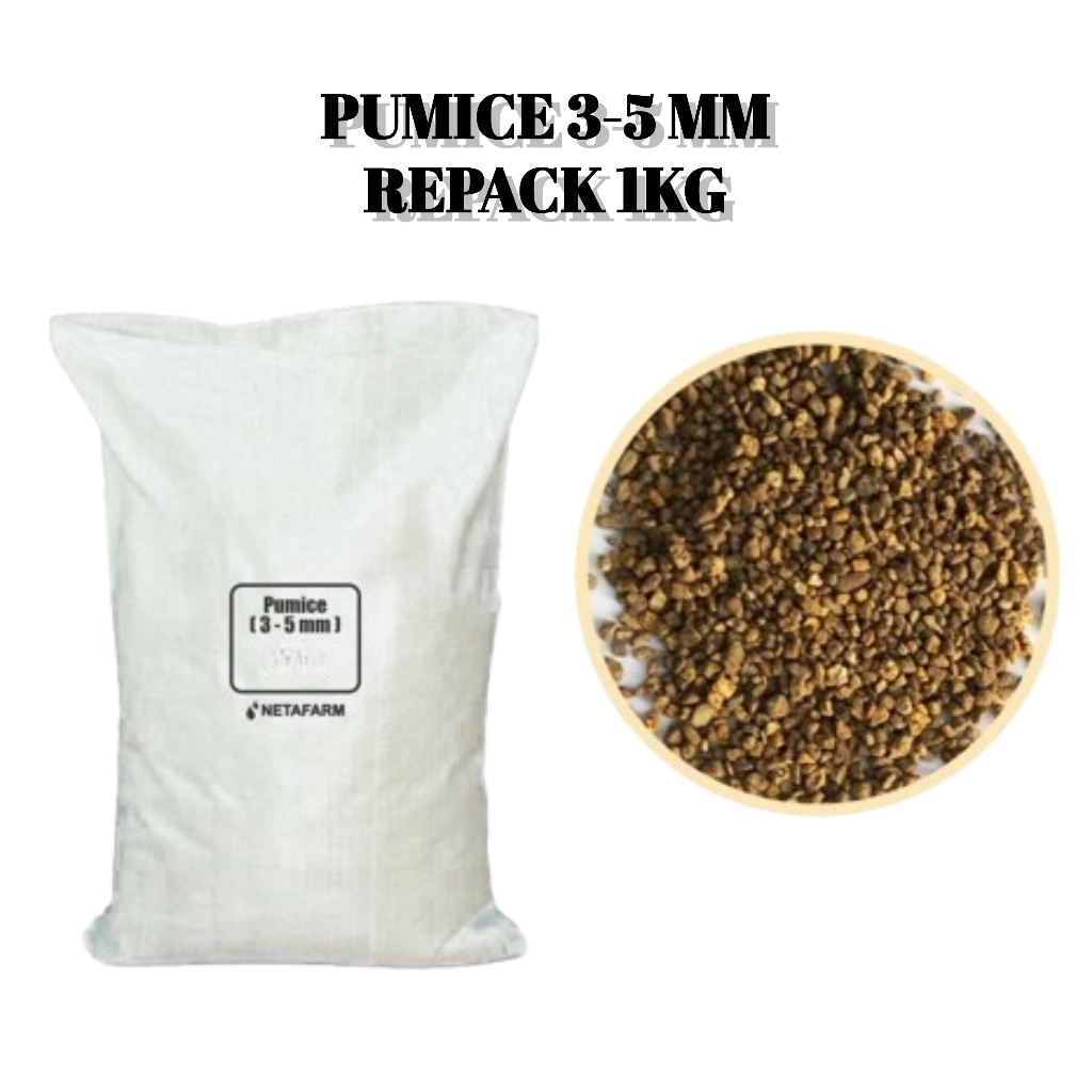 Media Tanam Pumice Batu Apung Pumis Tanaman Kaktus Karnivora Aquascape