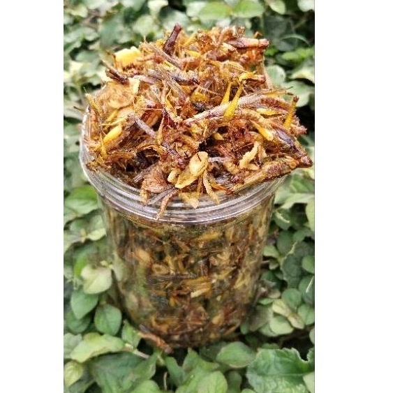 

WALANG GORENG KECIL 210 GRAM BISA BAYAR DI TEMPAT