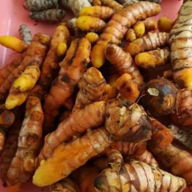 

kunyit sayur segar 500 gr bersih