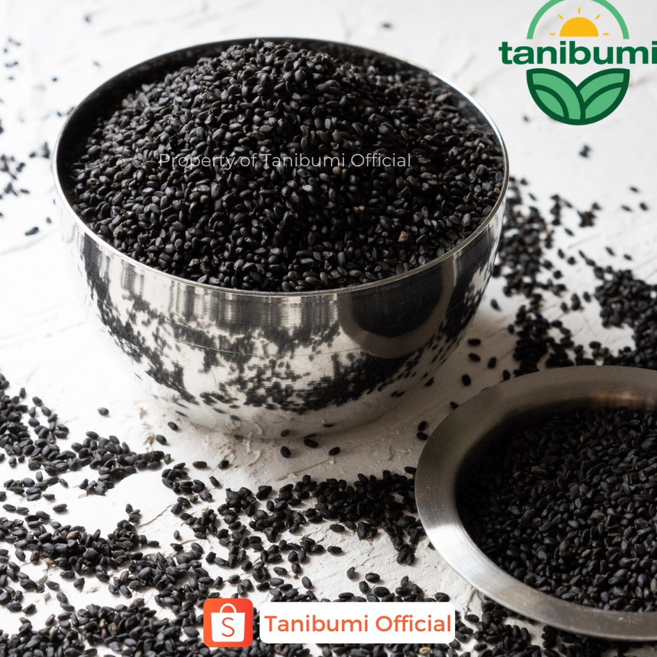 

Kualitas Terbaik Biji Selasih Premium 1kg Basil Seed