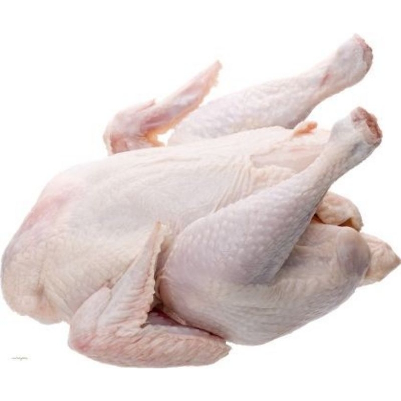 

Ayam Utuh Broiler 800-850gr Fresh