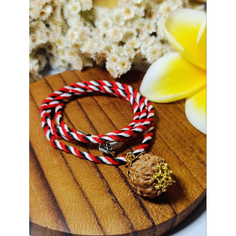 Kalung Tridatu Liontin Rudraksha Genitri Asli Bali