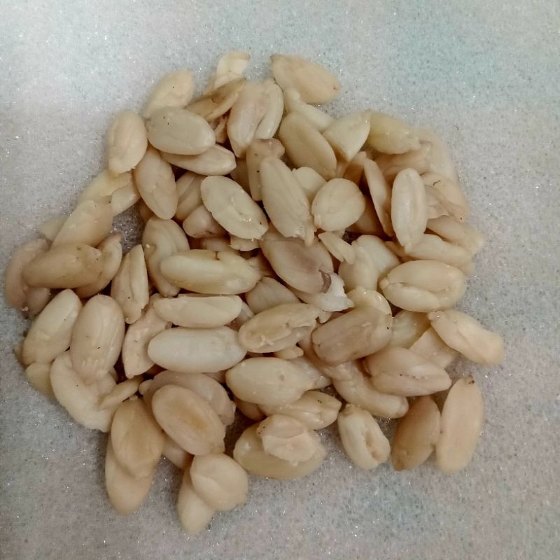 

KACANG KENARI MENTAH KEMASAN 100 GRAM