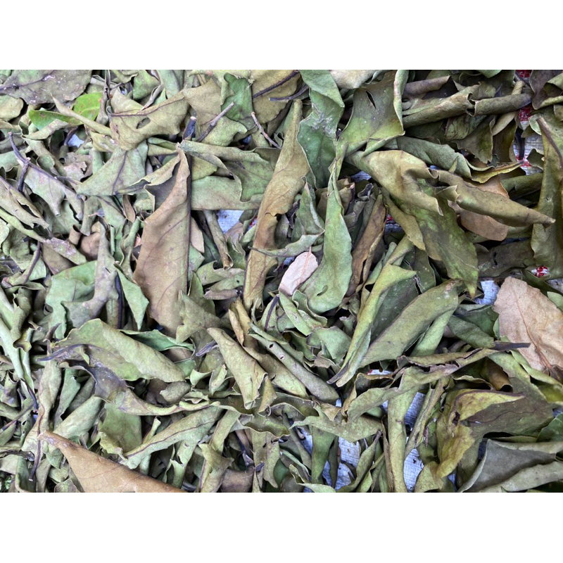 

DAUN BENALU ALPUKAT KERING 170 gram
