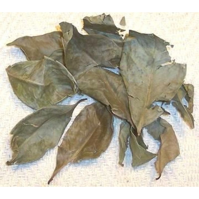 

Daun Salam Kering Asli Organik 100 Gram