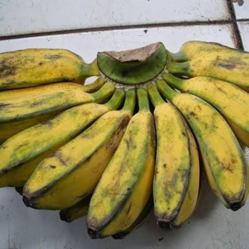 

pisang sangar 1 lirang
