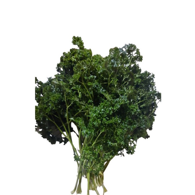 

peterseliparsley 5 gram