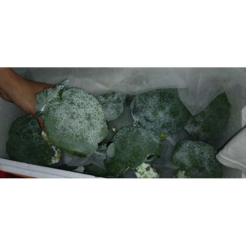 

Brokoli Import 1kg