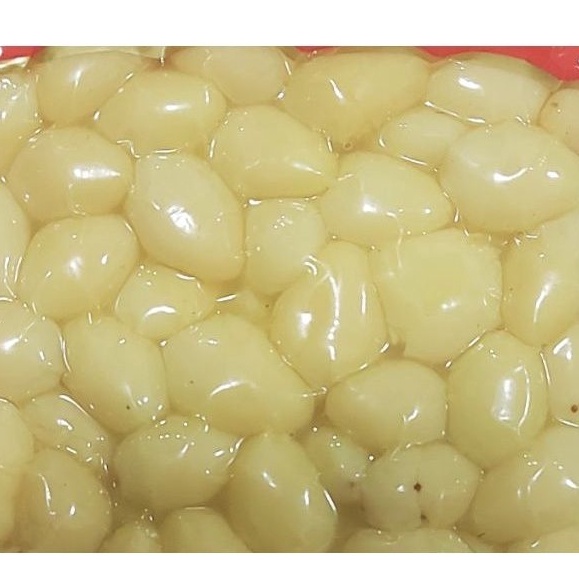 

Ready Stok ginkgo biloba 25 gr gingko biloba kupas