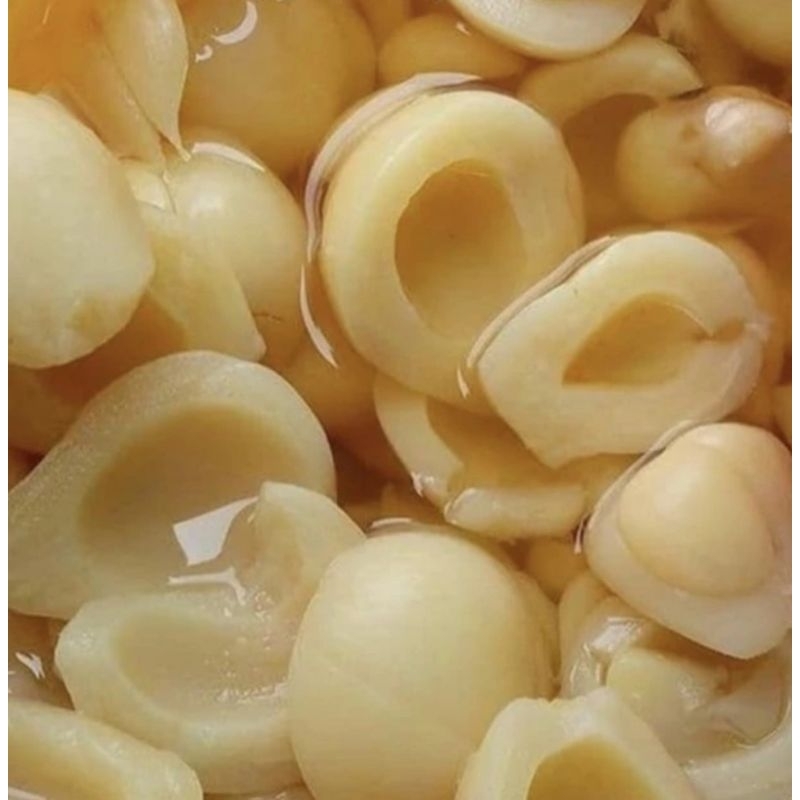 

Manisan buah salak 500 Gr