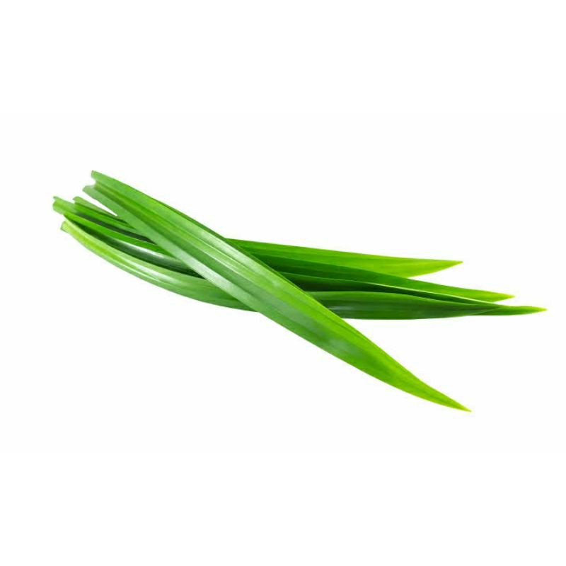 

Daun Pandan fresh (per 10 Lembar)