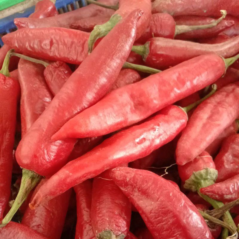 

Cabai Merah Tanjung Bandung 100gr