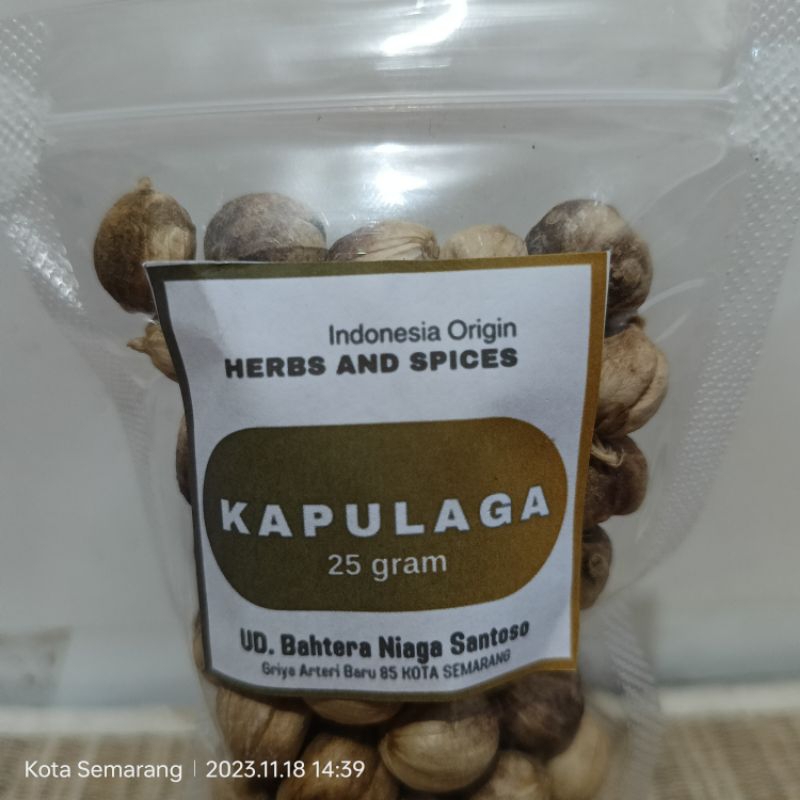 

Kapulaga Kering Rempah Bumbu Dapur