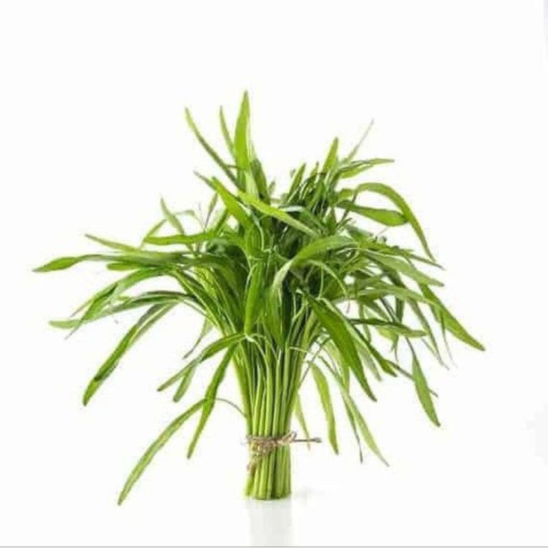

[KIRIM INSTAN] Kangkung 1 Pack