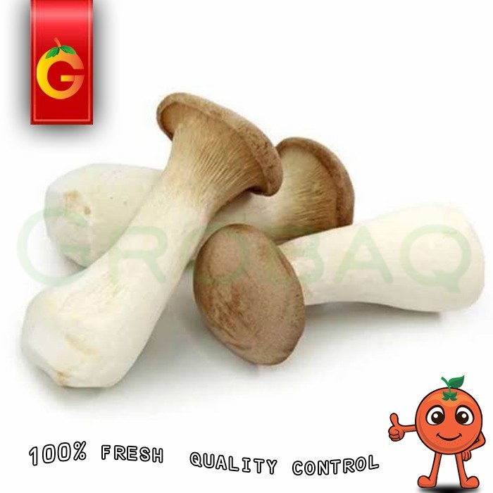 

JAMUR KING OYSTER / BUNGKUS