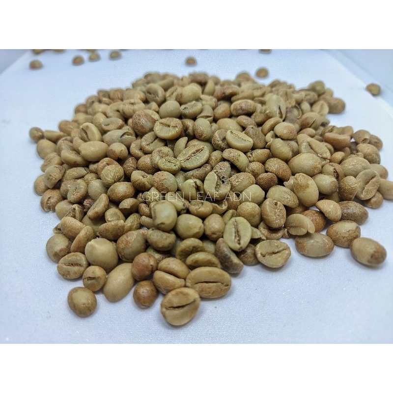 

GREEN BEAN KOPI ROBUSTA SUMAWE - DAMPIT