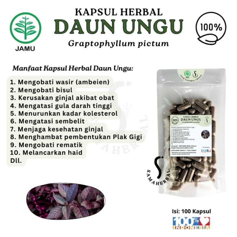 ISI 100 KAPSUL HERBAL DAUN UNGU Asli - SAMAHERBAL