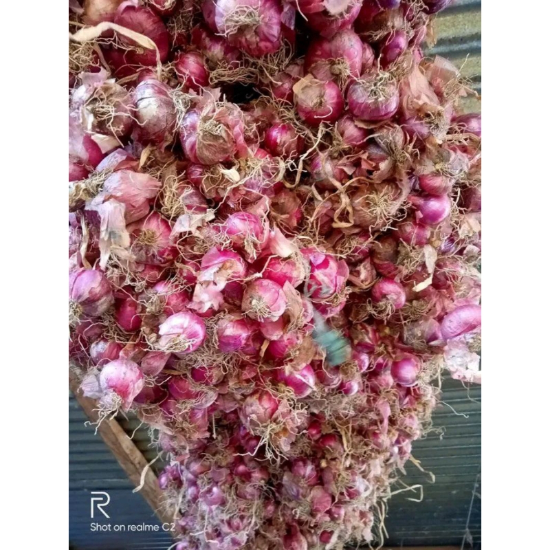 

bawang merah asli dari gunung rinjani 1kg