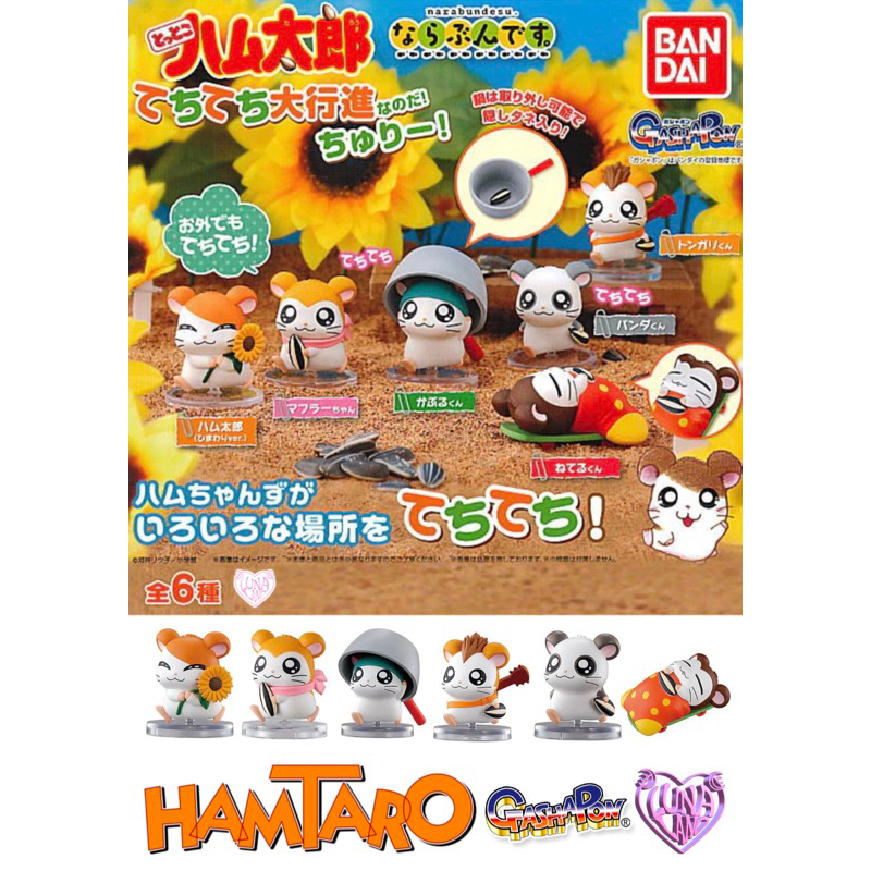 Hamtaro Outside 40