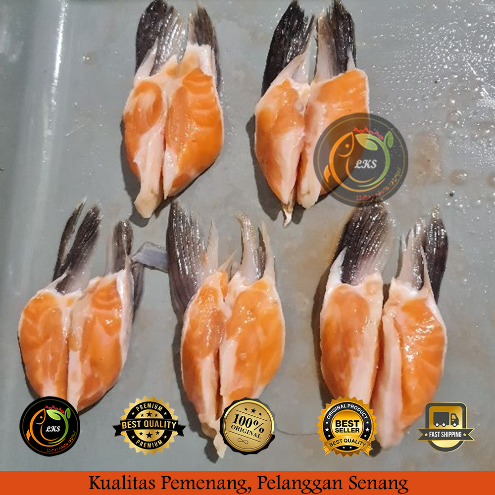 

Sirip Salmon Trout Segar/ Salmon Find Layak Konsumsi & Higienis