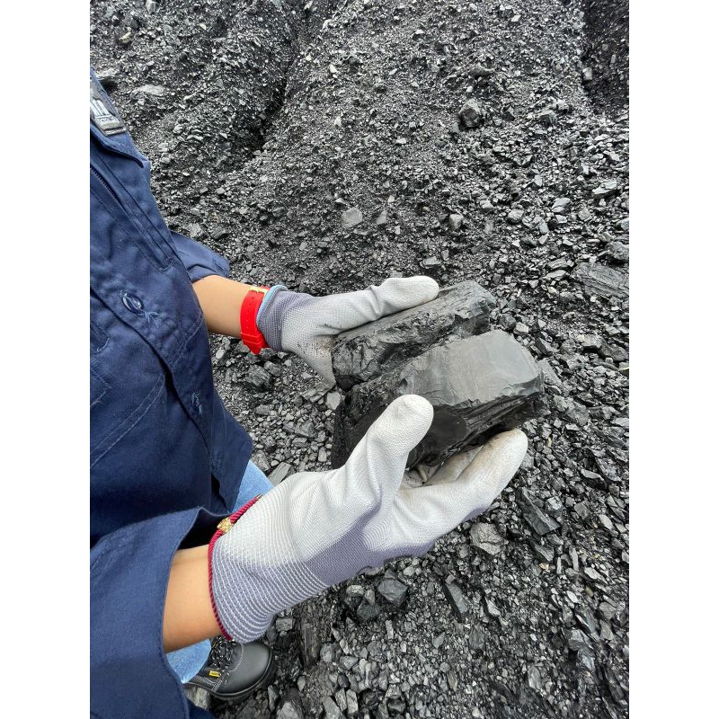 Indonesian steam coal / batubara indonesia calory abd 55 53  / Gar  42 40 size asalan batu bara uap 