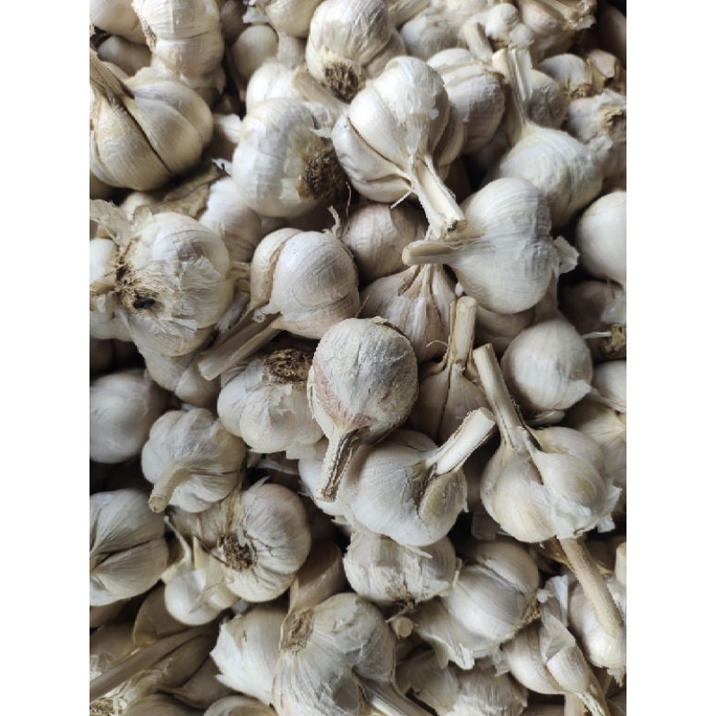 

BAWANG KATING 250 GRAM
