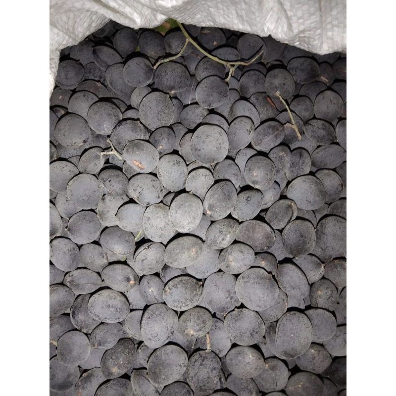 

buah kuranji/koranji