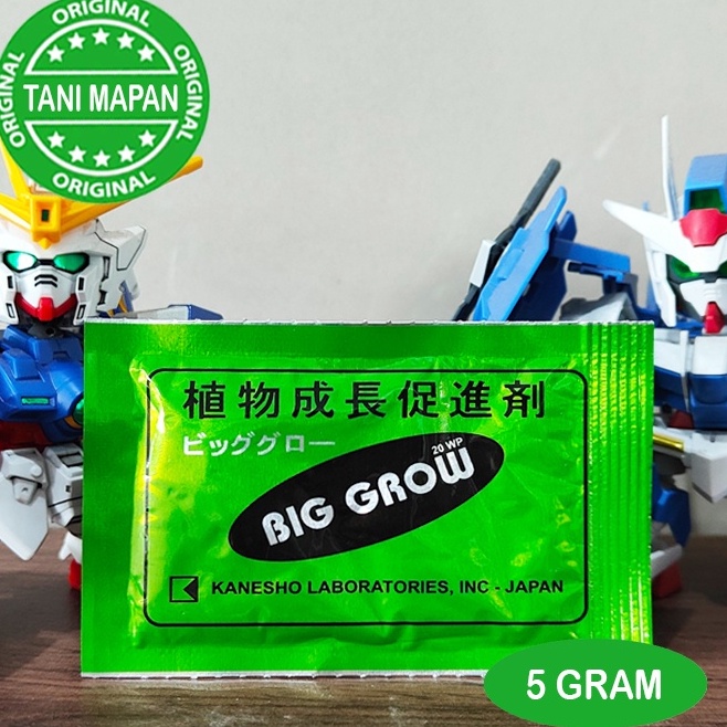 

Lariiss ZPT BIG GROW 5 gram GA3