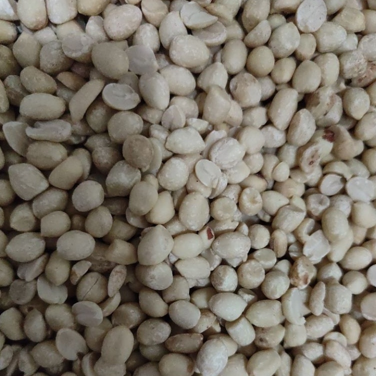 

Action Now kacang kupas mentah KECIL UK 6171 Berat 1 kg 1gr