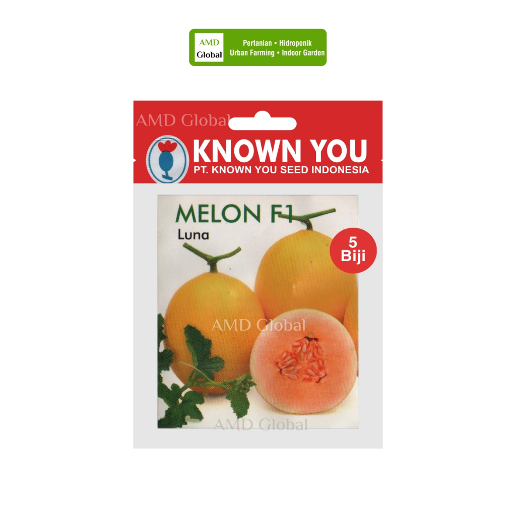 Benih Melon Hibrida Golden Luna F1 Known You Seed Isi 5 Biji