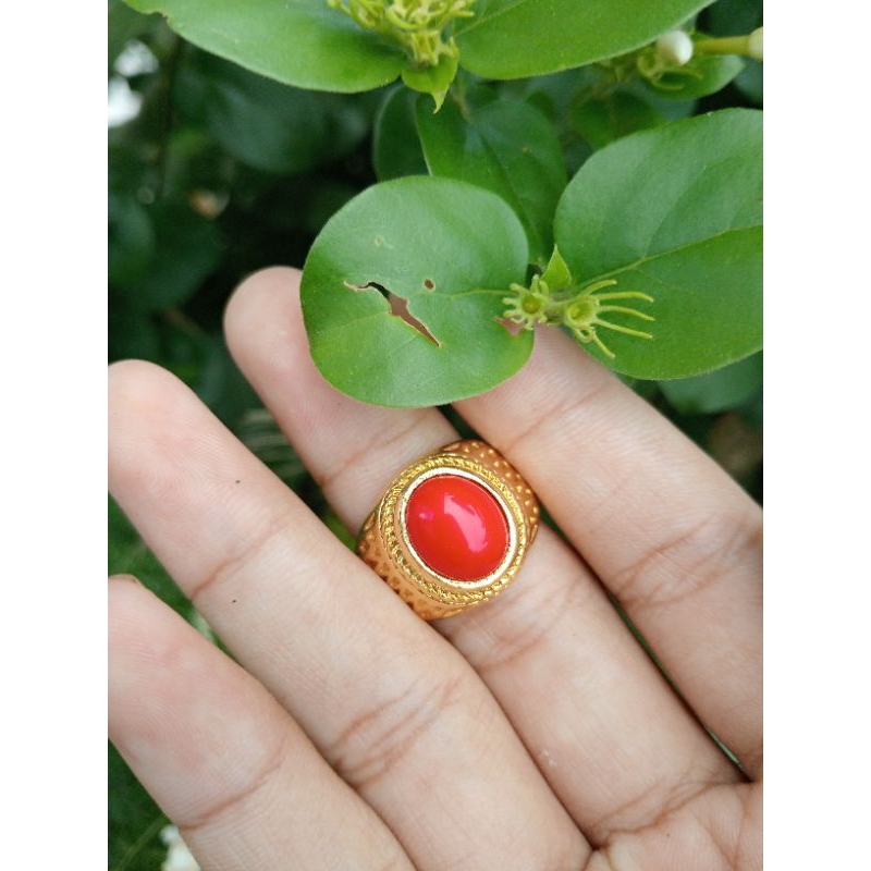 cincin batu marjan