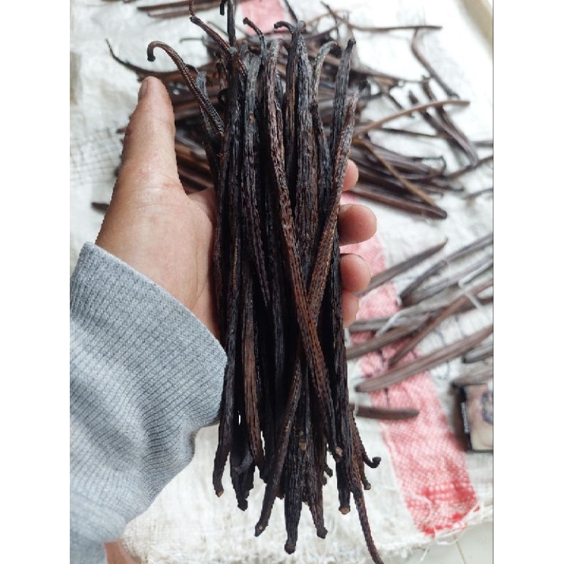 

vanilla bean, panili utuh per 50gr