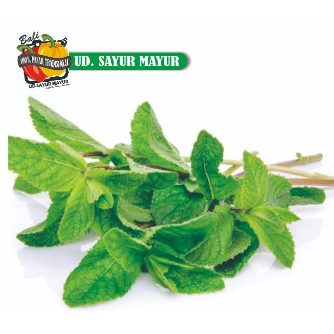 

Daun mint 50gram