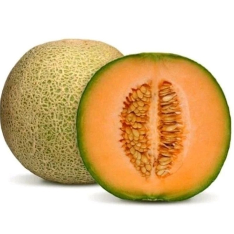 100 Biji Benih Bibit Melon Hibrida GOLDEN AROMA Seeds, Oren Super Manis