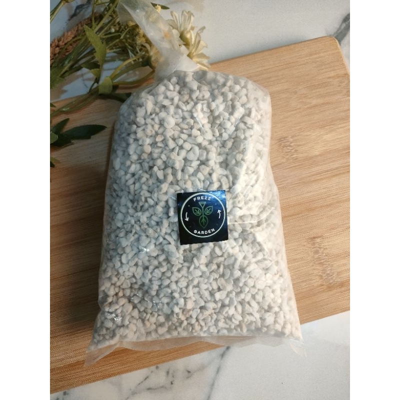PERLITE UNTUK CAMPURAN MEDIA TANAM MONSTERA PHILODENDRON AGLONEMA