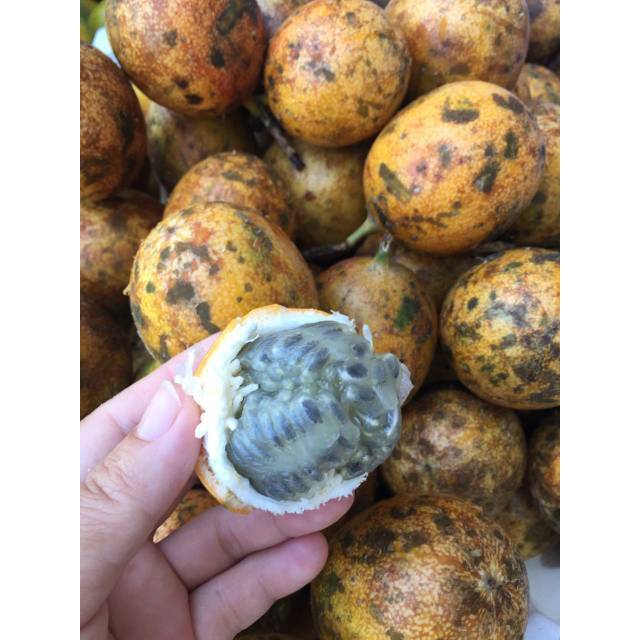 

Buah Markisa / Konyal 1kg