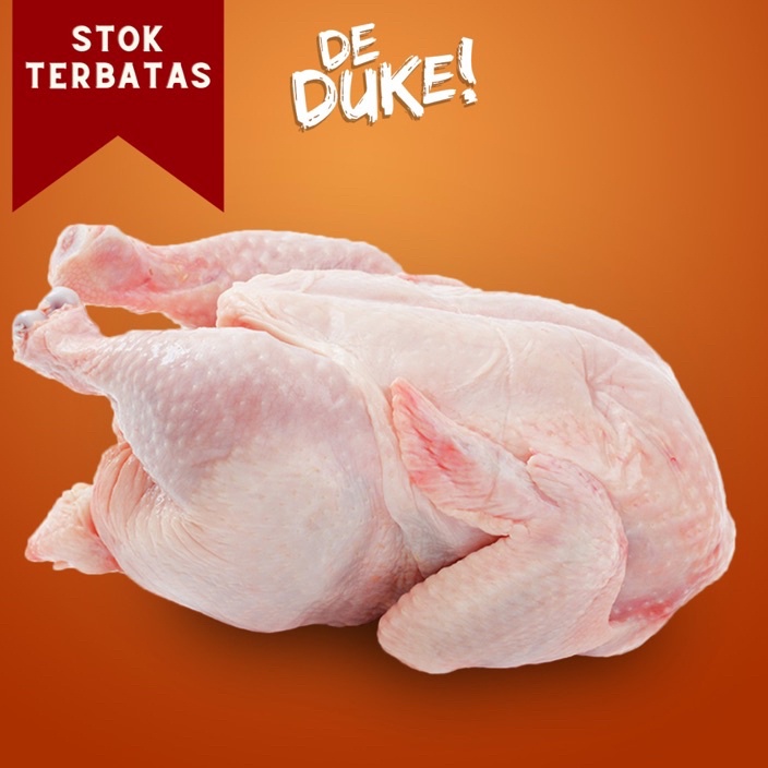 

Free Ongkir Ayam Karkas Broiler Ayam Utuh 513Gram