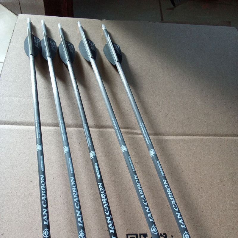 Arrow carbon IAN elong spine 600/700/800/900/1000